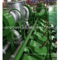 200kw 300kw 400kw 500kw Biogas Generator with Cummins Engine